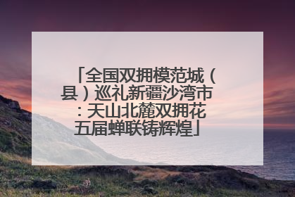 全国双拥模范城（县）巡礼新疆沙湾市：天山北麓双拥花 五届蝉联铸辉煌