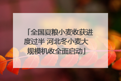 全国夏粮小麦收获进度过半 河北冬小麦大规模机收全面启动