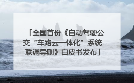 全国首份《自动驾驶公交“车路云一体化”系统联调导则》白皮书发布