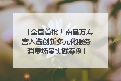 全国首批！南昌万寿宫入选创新多元化服务消费场景实践案例