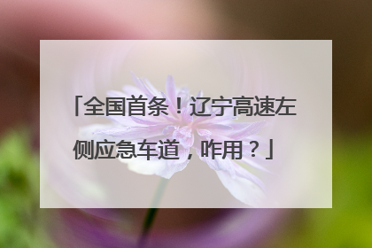 全国首条！辽宁高速左侧应急车道，咋用？