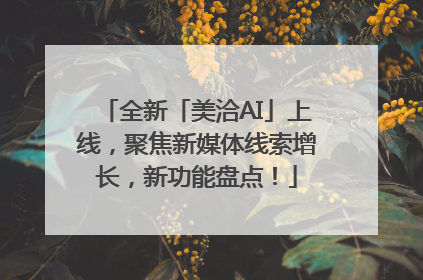 全新「美洽AI」上线，聚焦新媒体线索增长，新功能盘点！