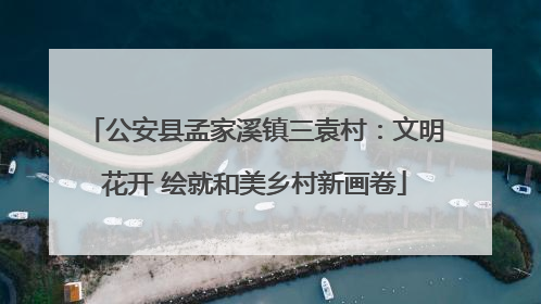 公安县孟家溪镇三袁村：文明花开 绘就和美乡村新画卷