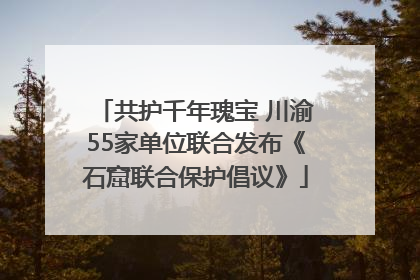 共护千年瑰宝 川渝55家单位联合发布《石窟联合保护倡议》
