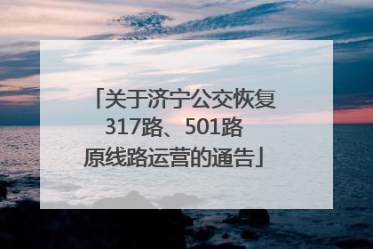 关于济宁公交恢复317路、501路原线路运营的通告