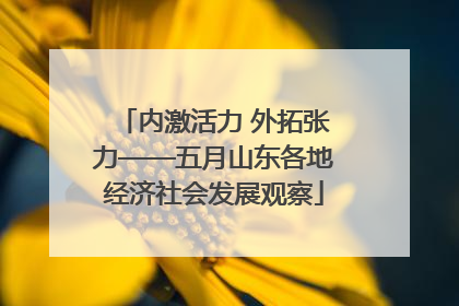 内激活力 外拓张力——五月山东各地经济社会发展观察