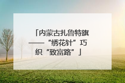 内蒙古扎鲁特旗——“绣花针”巧织“致富路”