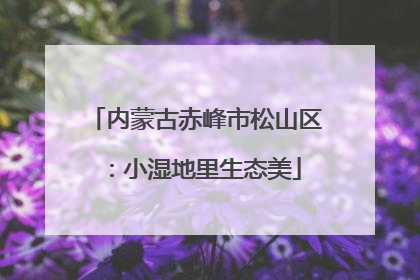 内蒙古赤峰市松山区：小湿地里生态美