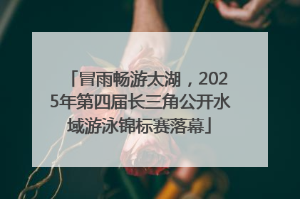 冒雨畅游太湖，2025年第四届长三角公开水域游泳锦标赛落幕