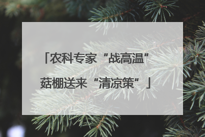 农科专家“战高温” 菇棚送来“清凉策”