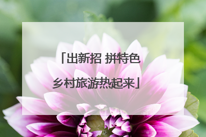 出新招 拼特色 乡村旅游热起来