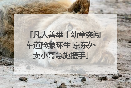 凡人善举丨幼童突闯车道险象环生 京东外卖小哥急施援手