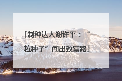 制种达人谢许平：“一粒种子”闯出致富路