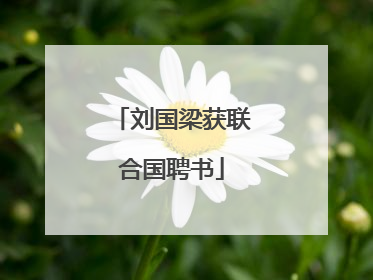 刘国梁获联合国聘书