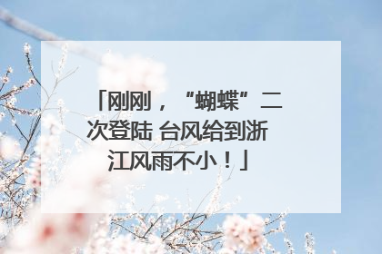 刚刚，“蝴蝶”二次登陆 台风给到浙江风雨不小！