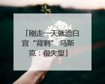 刚走一天就遭白宫“背刺” 马斯克：很失望