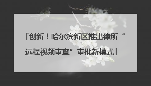 创新！哈尔滨新区推出律所“远程视频审查”审批新模式