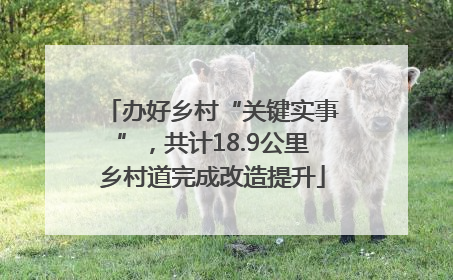 办好乡村“关键实事”，共计18.9公里乡村道完成改造提升