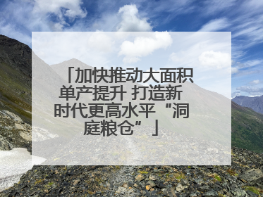加快推动大面积单产提升 打造新时代更高水平“洞庭粮仓”