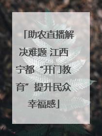 助农直播解决难题 江西宁都“开门教育”提升民众幸福感