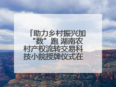 助力乡村振兴加“数”跑 湖南农村产权流转交易科技小院授牌仪式在长沙举行