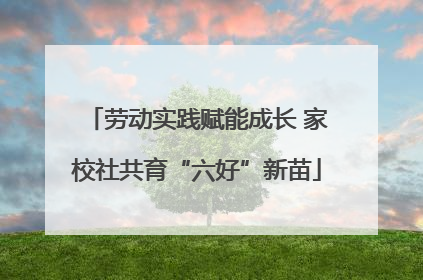 劳动实践赋能成长 家校社共育“六好”新苗
