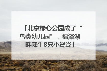 北京绿心公园成了“鸟类幼儿园”，福泽湖畔降生8只小鸳鸯