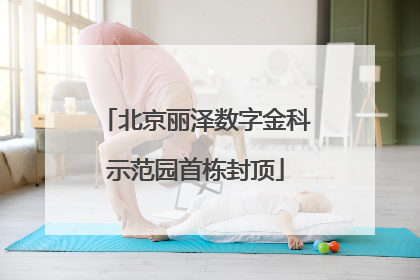 北京丽泽数字金科示范园首栋封顶