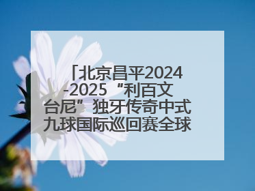 北京昌平2024-2025“利百文台尼”独牙传奇中式九球国际巡回赛全球总决赛盛大启幕！冠军500万