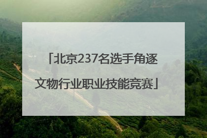 北京237名选手角逐文物行业职业技能竞赛