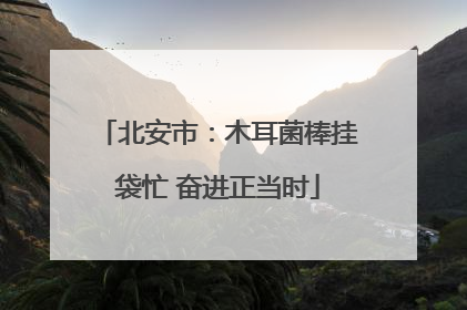 北安市：木耳菌棒挂袋忙 奋进正当时