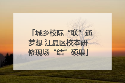 城乡校际“联”通梦想 江夏区校本研修现场“结”硕果