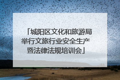 城阳区文化和旅游局举行文旅行业安全生产暨法律法规培训会