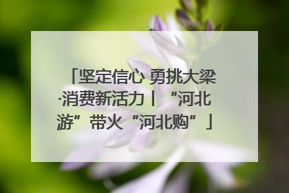 坚定信心 勇挑大梁·消费新活力丨“河北游”带火“河北购”
