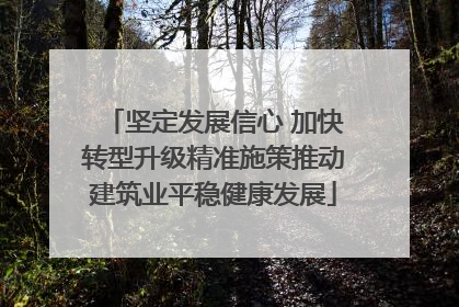 坚定发展信心 加快转型升级精准施策推动建筑业平稳健康发展