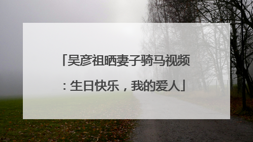 吴彦祖晒妻子骑马视频：生日快乐，我的爱人