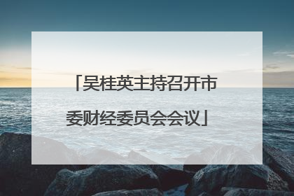 吴桂英主持召开市委财经委员会会议