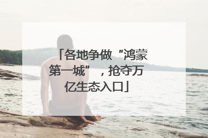 各地争做“鸿蒙第一城”，抢夺万亿生态入口
