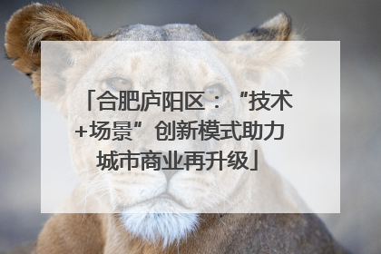 合肥庐阳区：“技术+场景”创新模式助力城市商业再升级