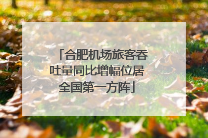 合肥机场旅客吞吐量同比增幅位居全国第一方阵