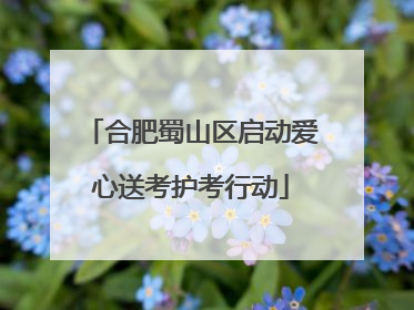 合肥蜀山区启动爱心送考护考行动