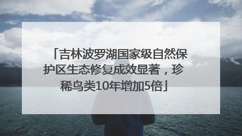 吉林波罗湖国家级自然保护区生态修复成效显著，珍稀鸟类10年增加5倍