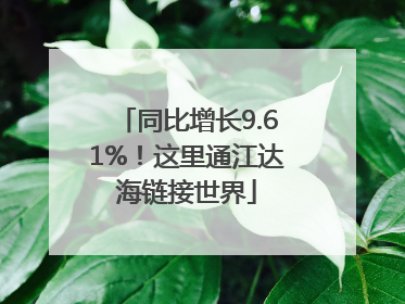 同比增长9.61%！这里通江达海链接世界