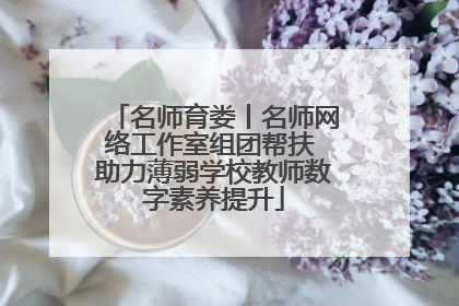名师育娄丨名师网络工作室组团帮扶 助力薄弱学校教师数字素养提升
