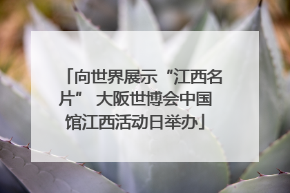 向世界展示“江西名片” 大阪世博会中国馆江西活动日举办