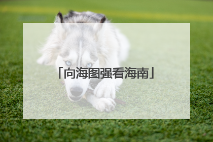 向海图强看海南