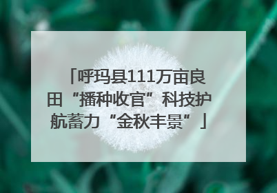 呼玛县111万亩良田“播种收官”科技护航蓄力“金秋丰景”