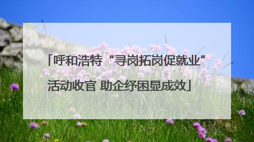 呼和浩特“寻岗拓岗促就业”活动收官 助企纾困显成效