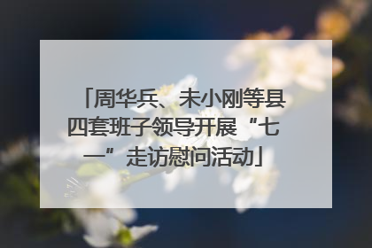周华兵、未小刚等县四套班子领导开展“七一”走访慰问活动