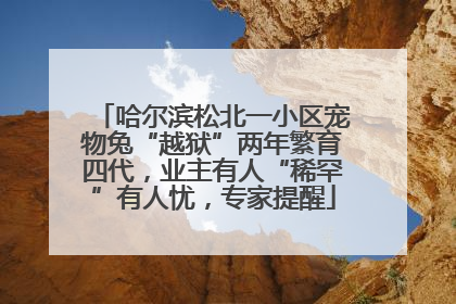 哈尔滨松北一小区宠物兔“越狱”两年繁育四代，业主有人“稀罕”有人忧，专家提醒